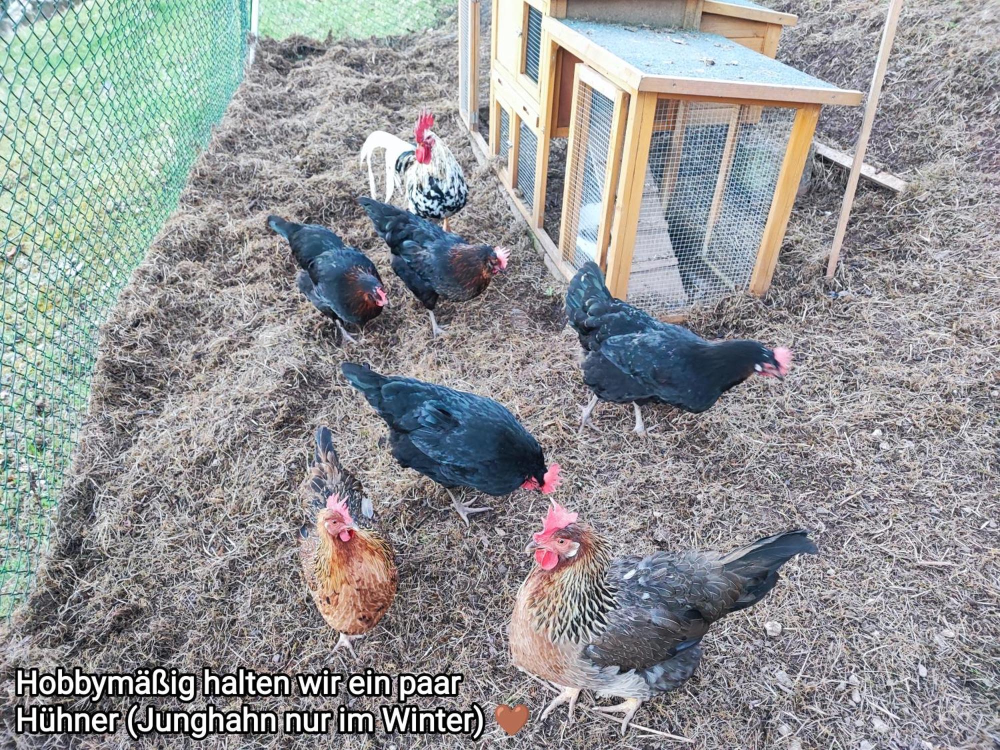 Ferienwohnung Look Wide Oberelsbach Zewnętrze zdjęcie